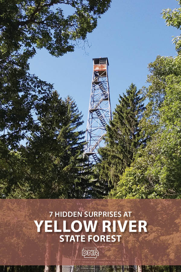 Poking out above the skyline of the mature oak and hickory forest, the tower stands just about 10 stories tall and was a gift to Iowa from the federal forest service in 1963. 6 other hidden surprises at Yellow River State Forest | Iowa DNR